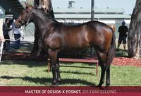 Educate Makes His Career Debut