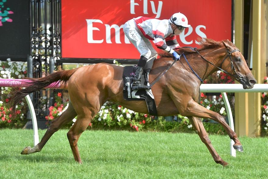 Sharing continues hot run