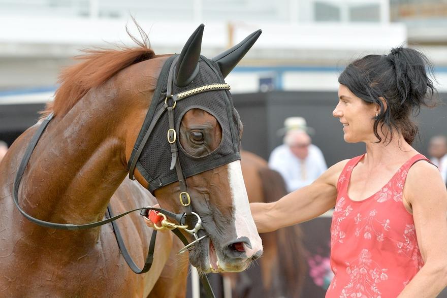 Just Hifalutin's big Flemington win