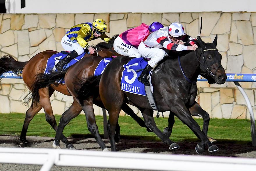 Educate still learning, still winning