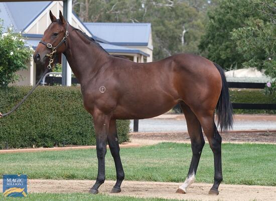 Winning Rupert X Sugar Mummy