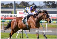Not An Ambiturner wins at Geelong