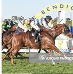 Getting right in 'The Thick Of It' at Bendigo