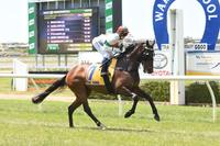 GREAT SOCIETY STARTS A WINNING RUN ON OAKS DAY