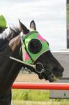 NICE WIN FOR INSTRUMENTALIST