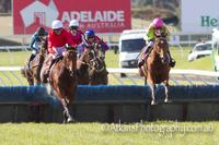 COUGAR EXPRESS WINS IN S.A.