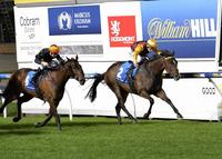 Winners roll in for Wingrove providing Christmas cheer