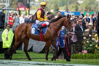 Spark victory keeps stud Flying this season