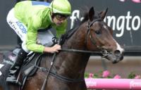 Symphony on song for Caulfield Guineas assault