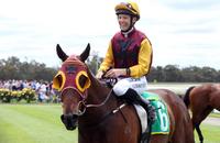 Hometrack specalist lands Bendigo Cup Day spoils