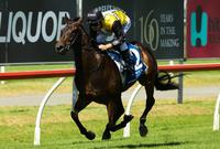 Heart lies with Magic Millions favourite Jonker