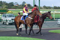 Foundation broodmare leaves a lasting legacy