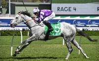 Greyworm goes back to back at Randwick