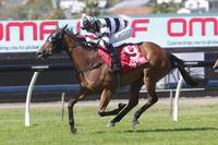 More Stakes Success for Fiscal Fantasy