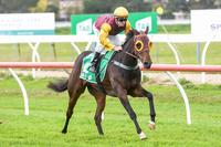 Clever ride delivers winning Spark