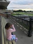 A little visitor at trackwork
