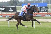Bendigo Cup For Desert Samurai 