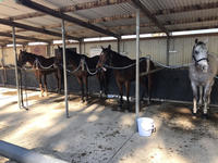 O'Neill Quartet Near Return