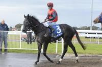 Blue Star Win for Deja Blue