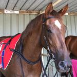 Lovely Loquacious Lass