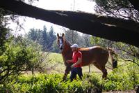Toorak Miss Impresses at Debut