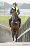 Mornington Double