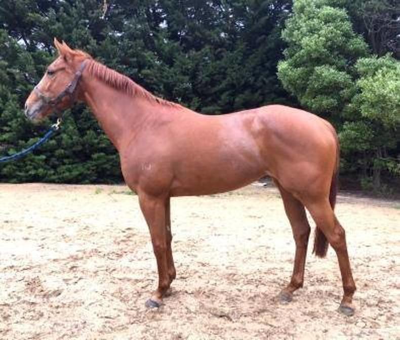 Walk In The Park For Mossbelle