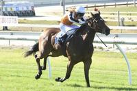 Northkape Flies At Ballarat