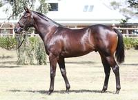 Beaverbrook Breaks Maiden