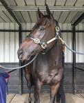 All The Way For Evolutionist