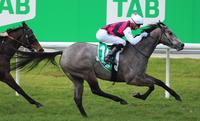 Flying Fidelia Loves Flemington!