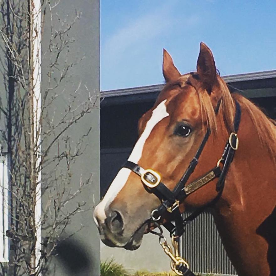 Robe Fights Back for Seidl