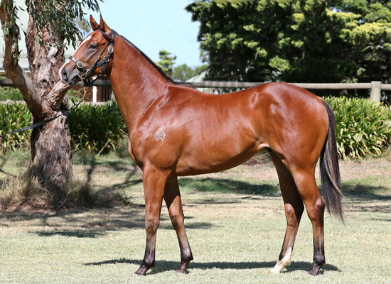 Two In A Row For Halvorsen