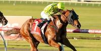 Mr Flemington