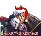 Merry Christmas!