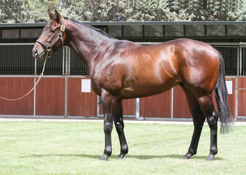 An Imposing Performance