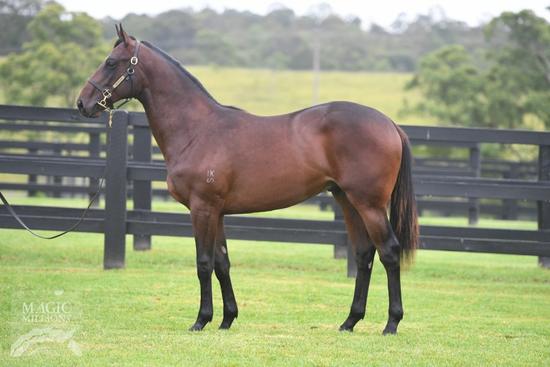 Fastnet Rock X Nothin But A Dream