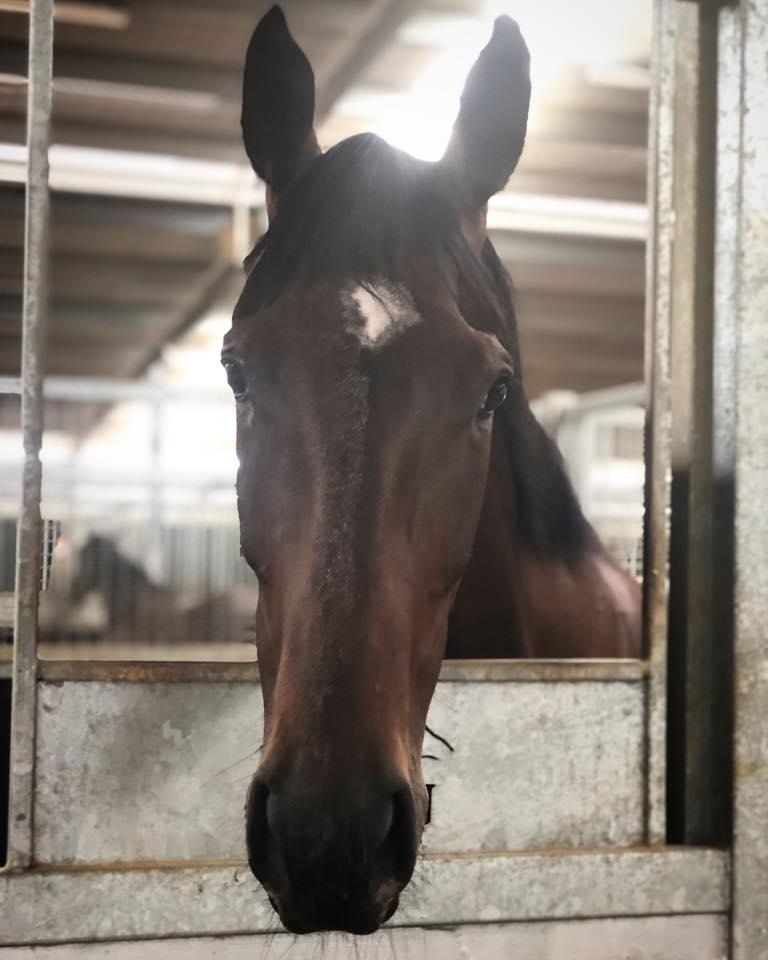 Break Through For Daisley