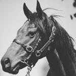 Soft Win For Sagarra