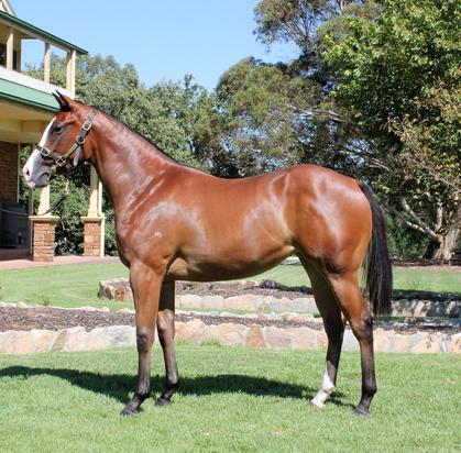 Palentino X Leica Gossip Filly