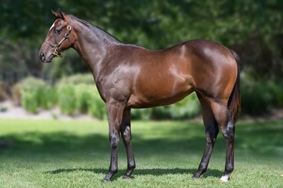 Pierro X Magnagem