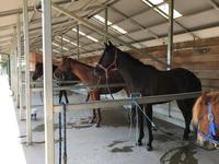 The team at Goulburn