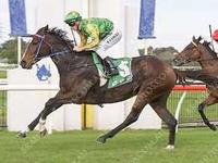 Randwick bound