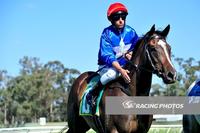 Zizzis a winner at her 2yo Debut
