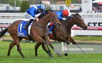 Zizzis fortunes on rise in Caulfield win