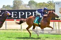 Payne's Strategic Great Western Cup win