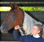 Chris Heywood cautious on Mitchell Road's chances in Christmas Gift at Wagga