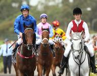 Nick Heywood remains relaxed despite climb up Sydney metropolitan riding ranks