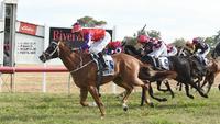 Rest up son, the ‘Cups King’ is up for Parkes challenge