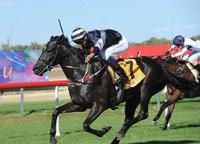 Wagga jockey Nick Heywood rides four winners at Murrumbidgee Turf Club